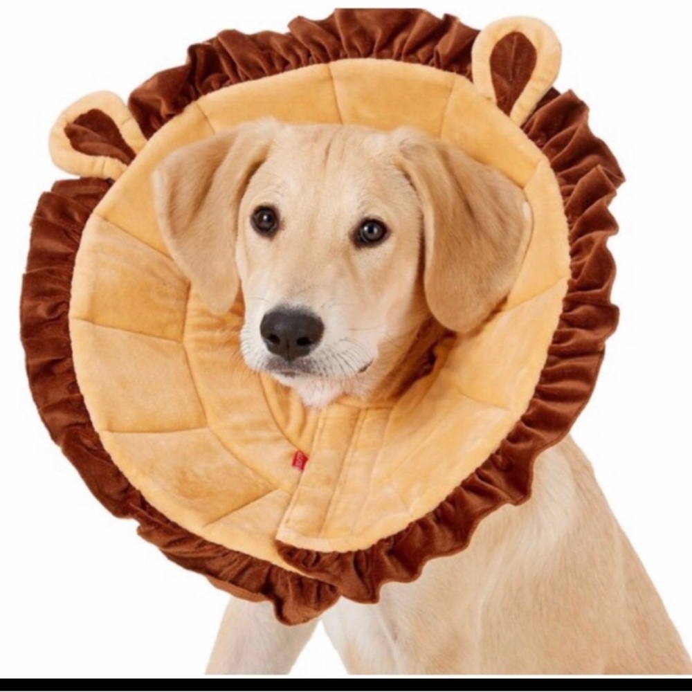 Alfie Pet Noah Lion Dog & Cat Recovery Collar